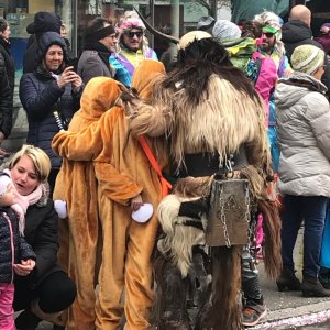 Umzug Uster